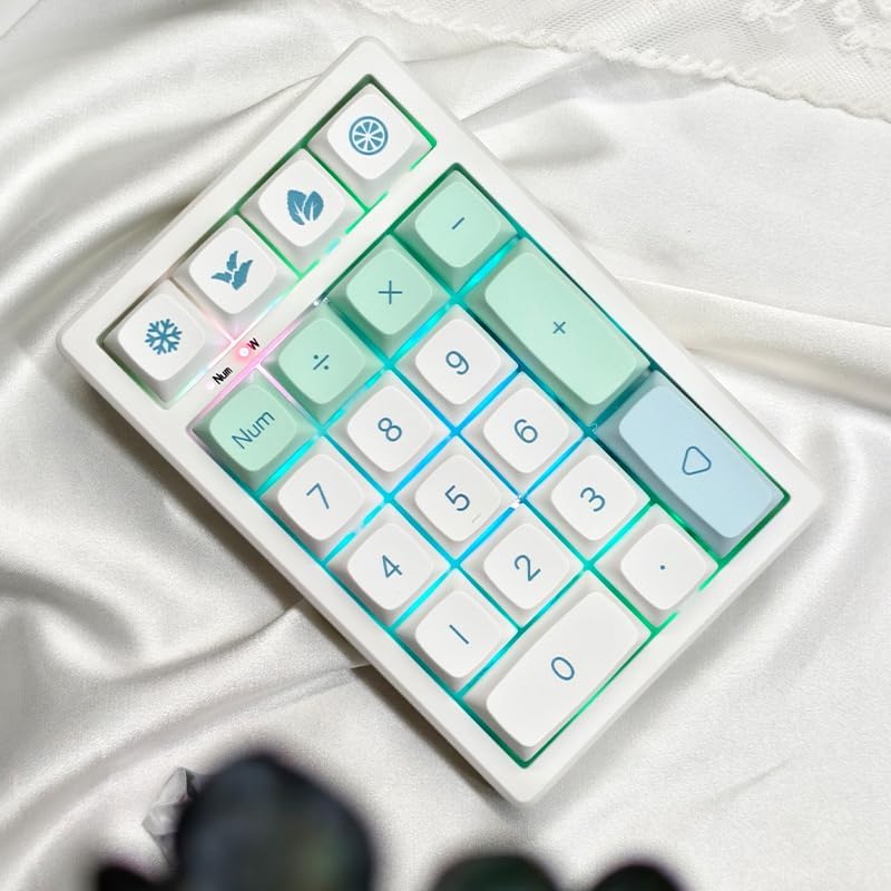 Boyi TD21 Hot Swap Numpad,21 Keys Mini Numpad Portable Keypad Bluetooth5.0/2.4G/Wired Number Pad Keyboard PBT Keycaps RGB Backlit Type-C Mini Keyboard (Mint XDA Keycaps) - Image 5